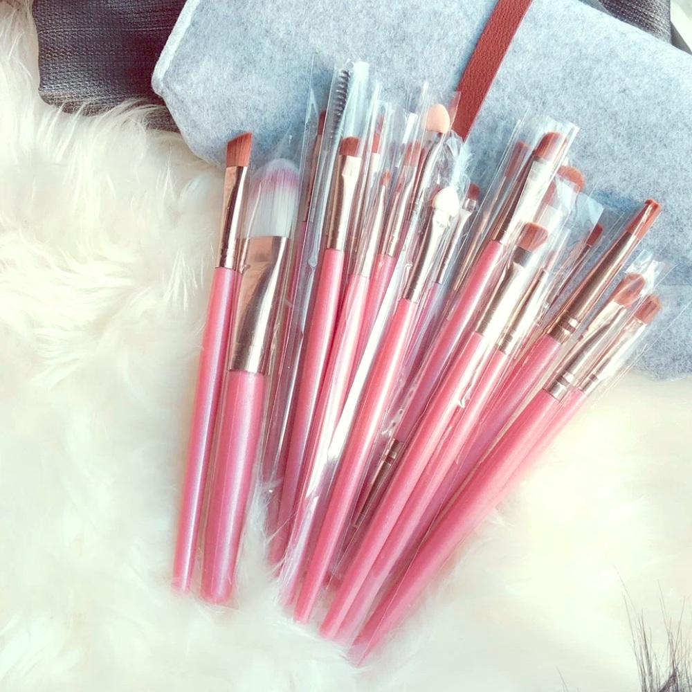 NEW Makeup Brushes and bag